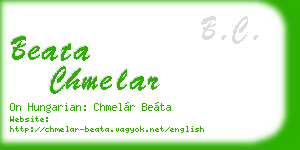 beata chmelar business card